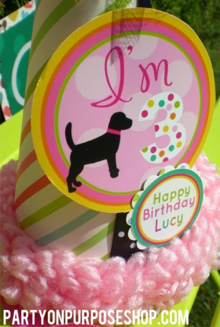 Colorful pink doggie party hat
