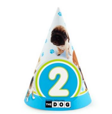 Dog Birthday Hats {The Cutest!} - B. Lovely Events
