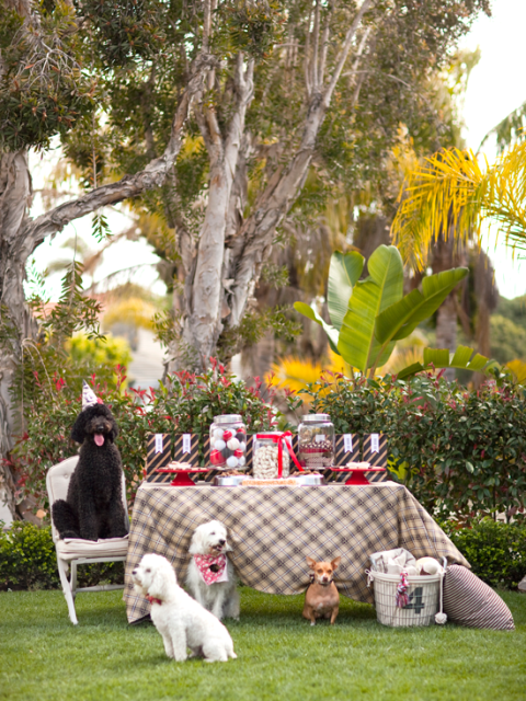 Love this Black and red dog Birthday Party!
