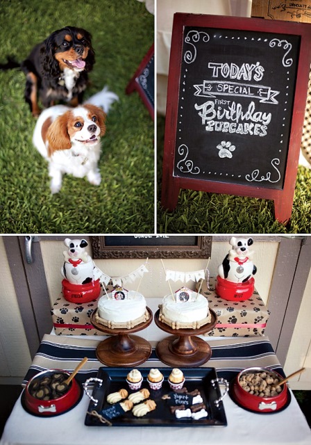 Super Cute Dog's Birthday Party
