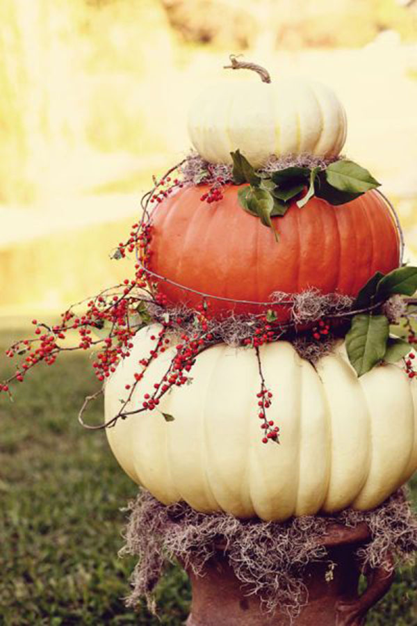 Fall Pumpkin Ideas